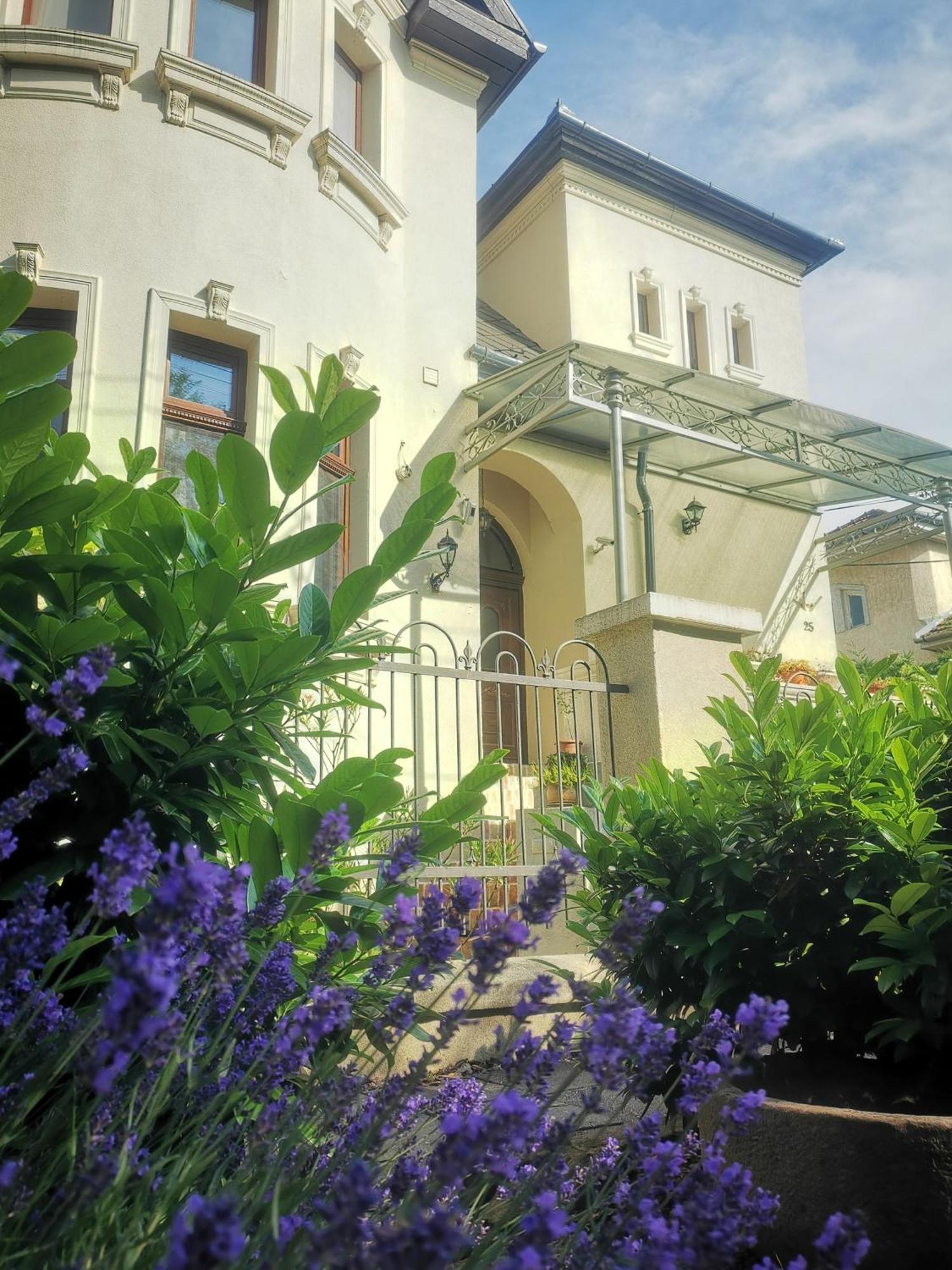 Kuria Apartman With Private Jacuzzi And Pool Budapeszt Zewnętrze zdjęcie