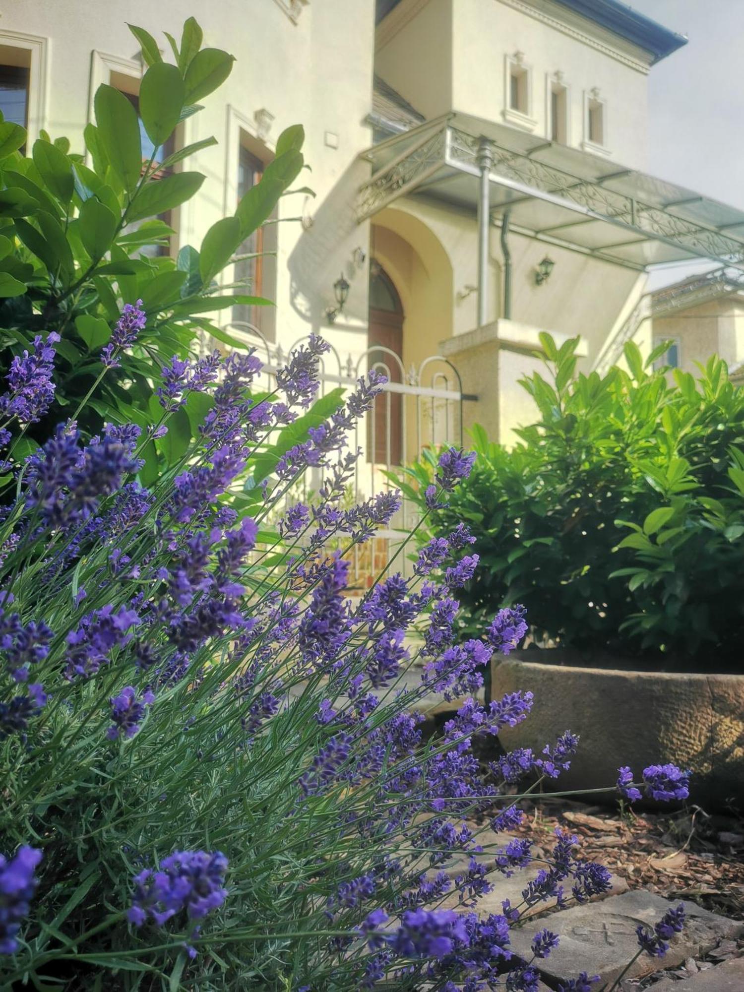 Kuria Apartman With Private Jacuzzi And Pool Budapeszt Zewnętrze zdjęcie